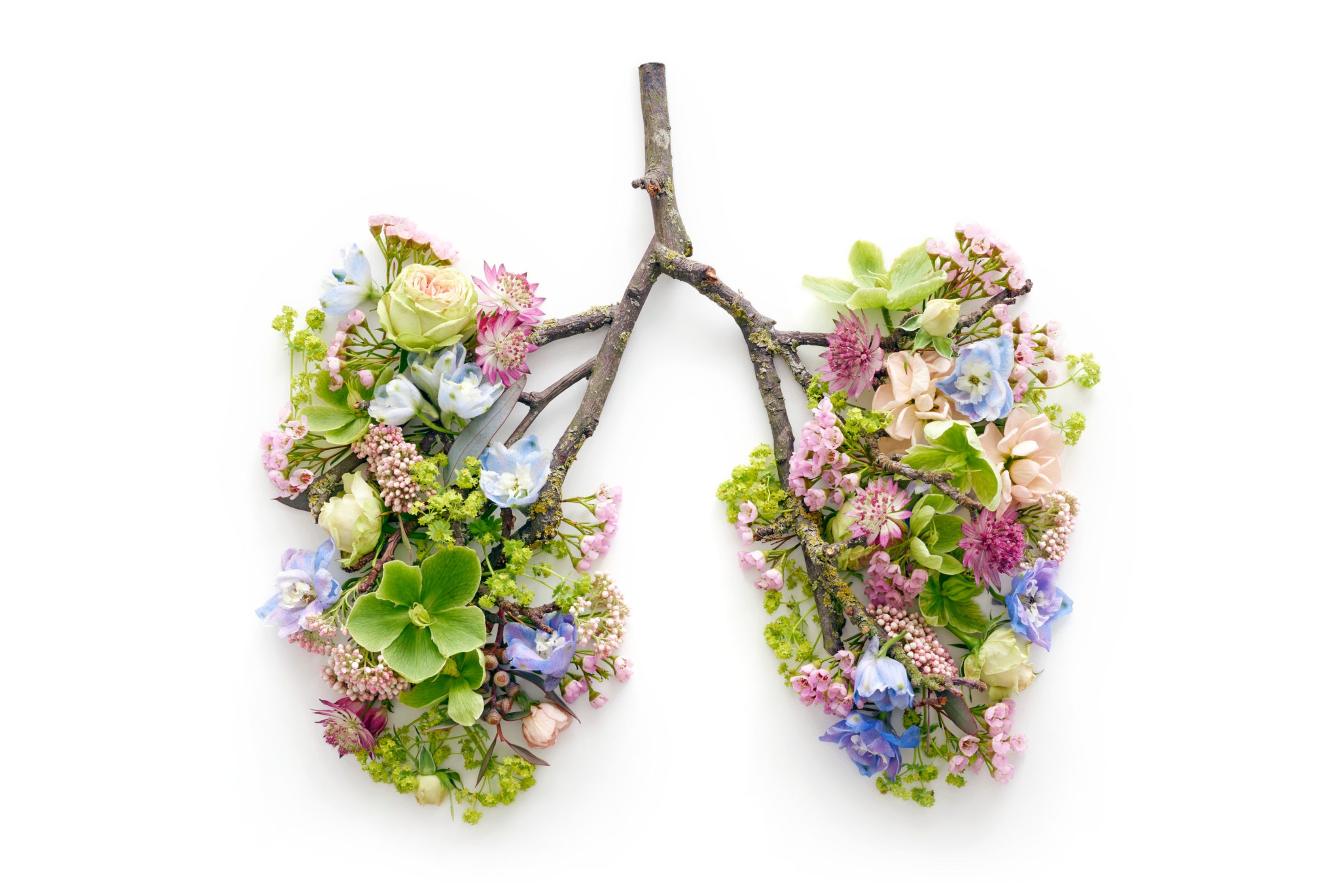 flower lungs