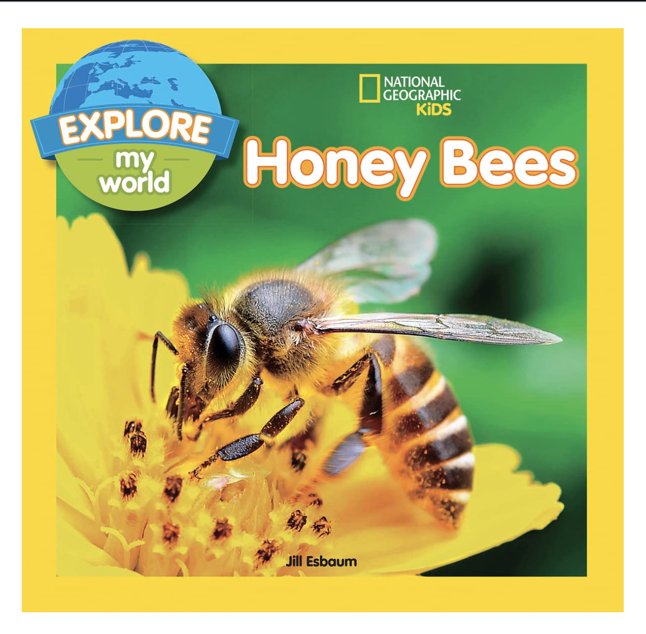 children's bee book